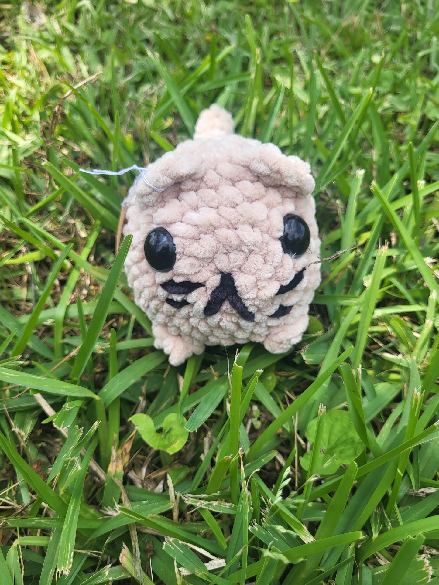 Small Loaf Cat